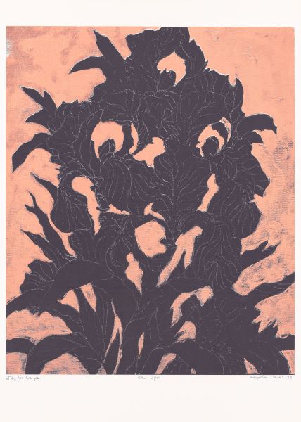 Magdalena Król – Widzę tu też psa