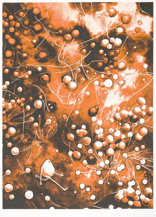 Marta Marszałek – 